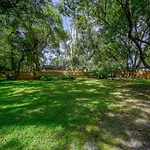 Golden Greek Getaway Chic House In Heart Of Tampa