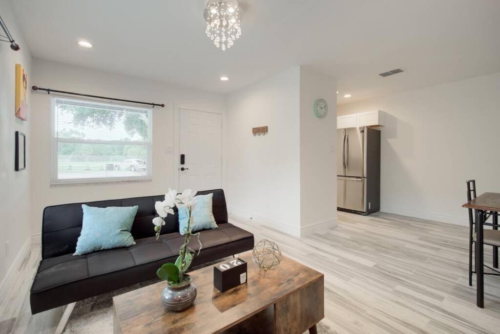 Modern Bayshore 44 Apartment Tampa