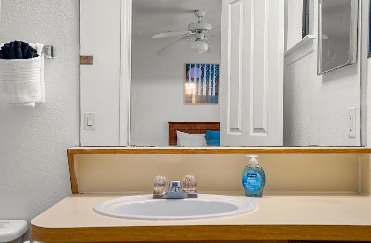 4bd 2 Mi To Usf Free Pool + 24 Hour Gym Holiday home