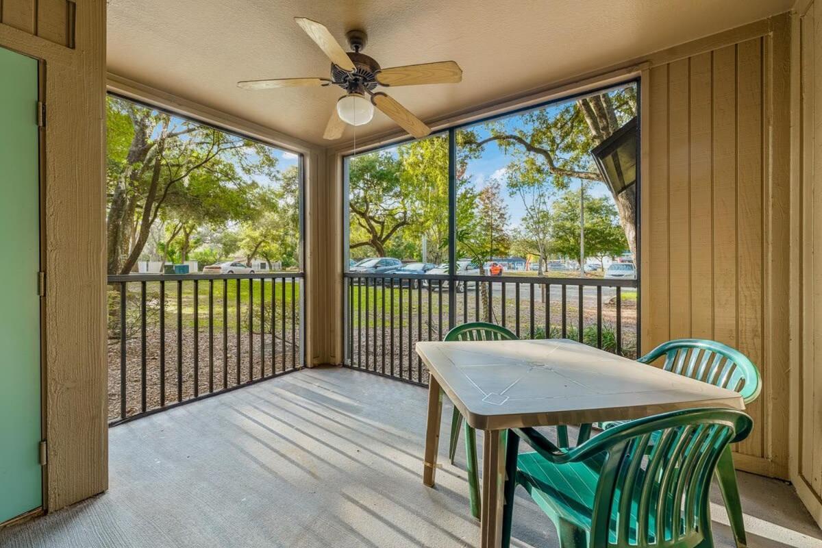 4bd 2 Mi To Usf Free Pool + 24 Hour Gym *