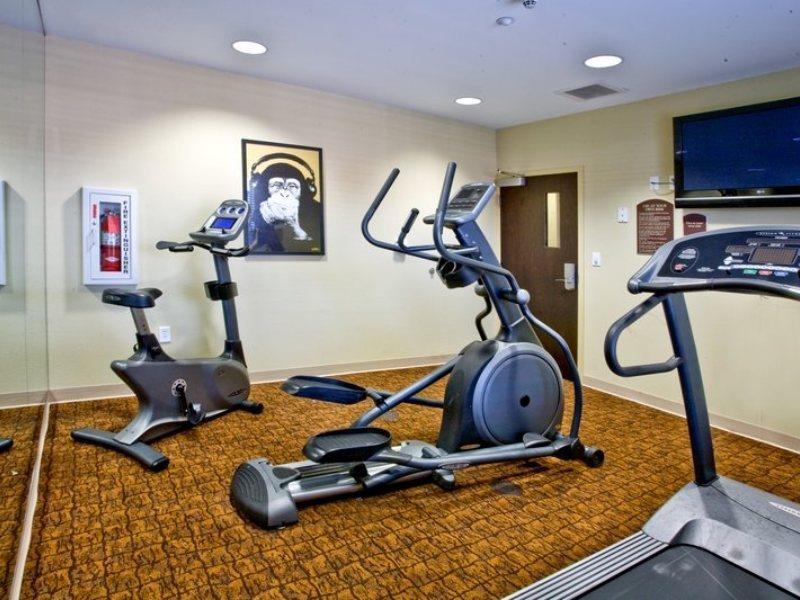 Hotel Express & Tampa-usf-busch Gardens By Ihg Tampa