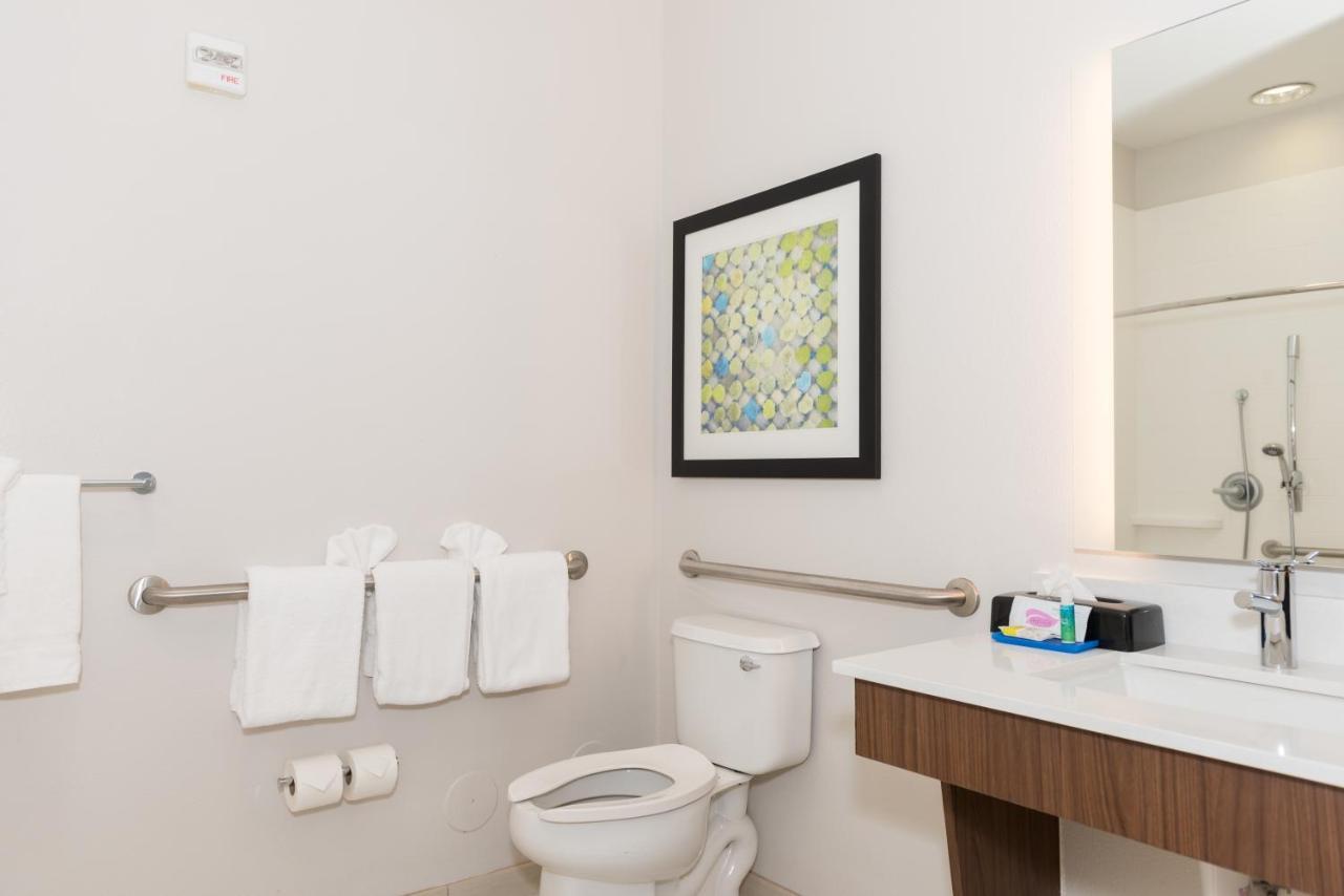 Express & Tampa-usf-busch Gardens By Ihg Hotel