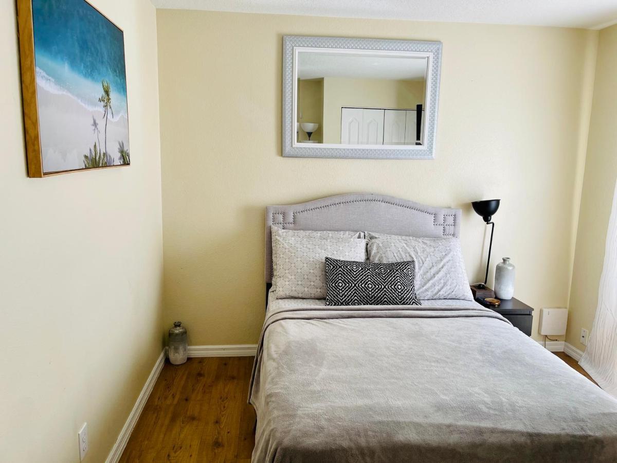 Cozy Pool House Close To Attractions In Tampa