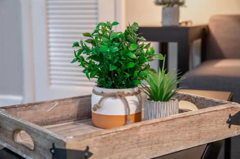 Apartment Modern Westshore Tampa
