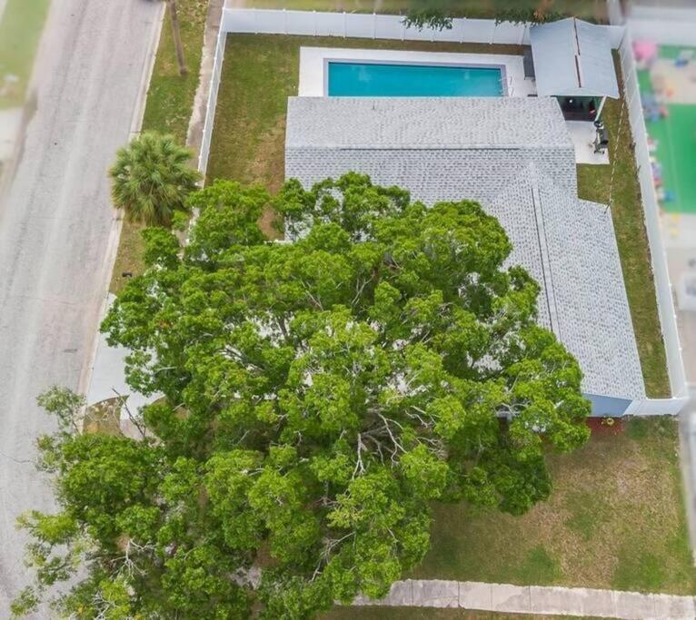 Holiday home Immaculate & Cozy Entire Heated Pool House Tampa