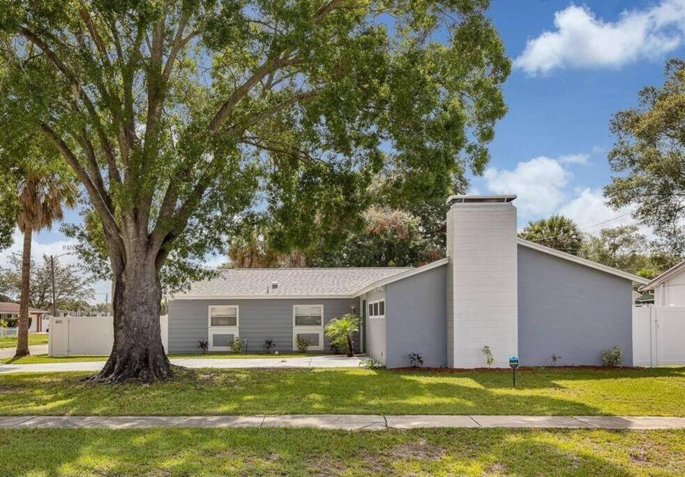 Immaculate & Cozy Entire Heated Pool House *