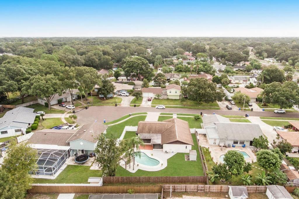 Y&m Sweet Home! Tampa