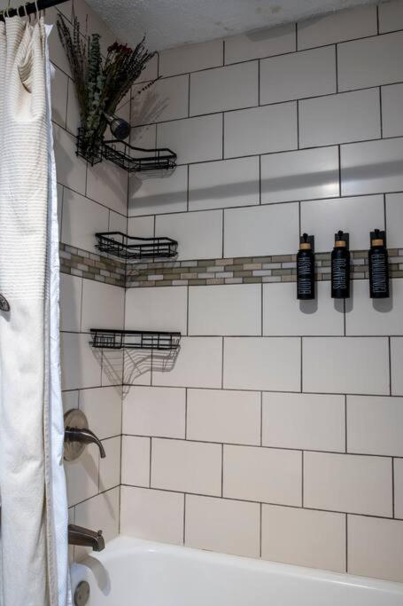 Stylish 4br With Outdoor Space, Busch Gardens - Renovated * Tampa