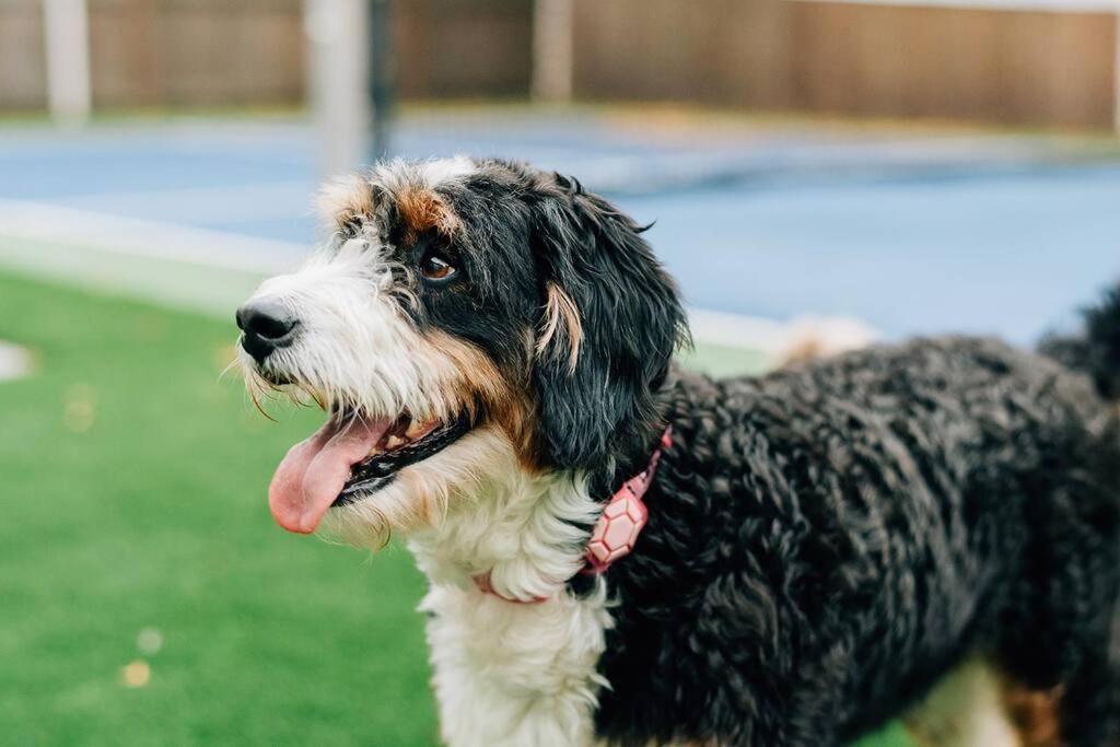 Holiday home Pickleball And Pups For Families Near Riverwalk *