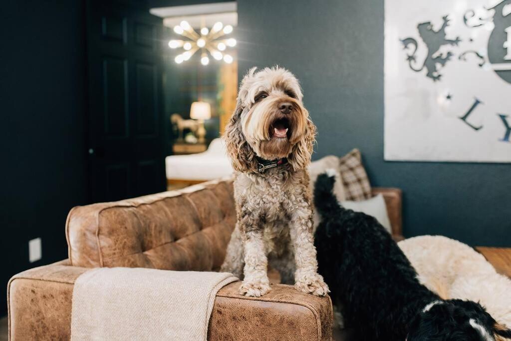 Pickleball And Pups For Families Near Riverwalk Holiday home Tampa
