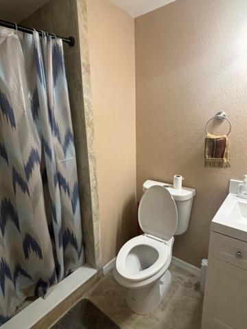 Homestay A In The Heart Of The Tampa