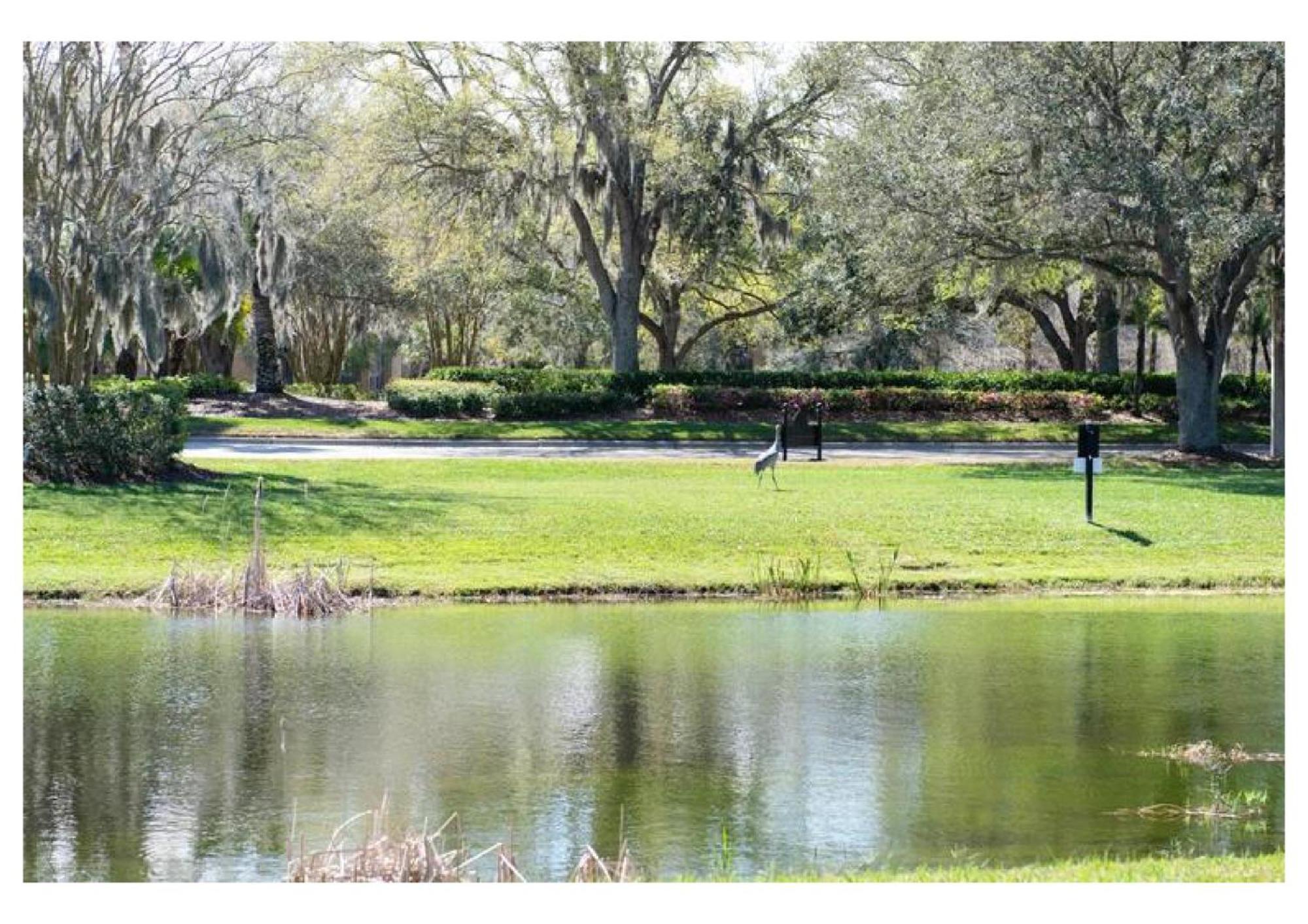 Elegant Long -king Bed - Pool - Wifi - Palms - Moffitt - Gated - Pets Ok - In New By Hunters - Live Oak - Cory Isles Area - H2 Holiday home