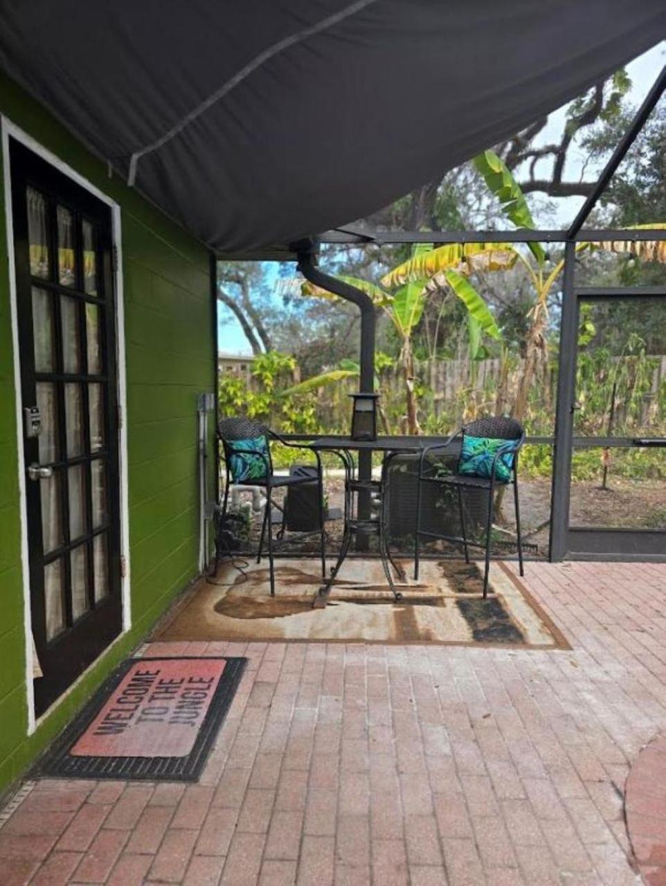 Jungle Oasis By Busch Gardens Usf And Amphitheater Apartment *