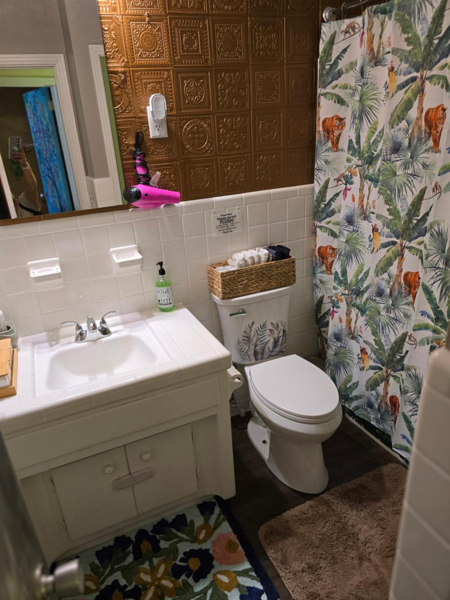 Apartment Jungle Oasis By Busch Gardens Usf And Amphitheater Tampa