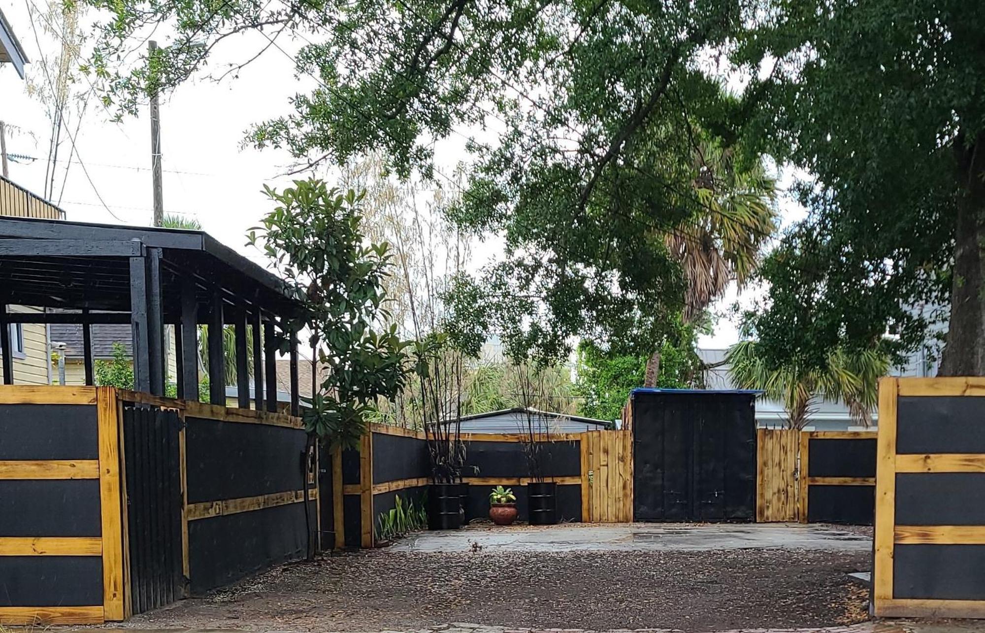 Palm Tampa