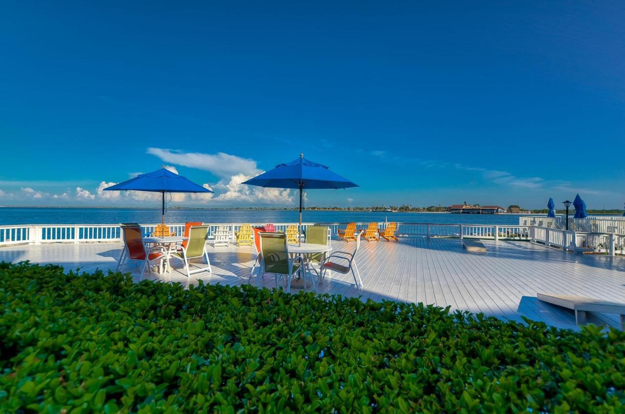 Apartment 202-pool, Wifi, Close To Bucs Stadium *
