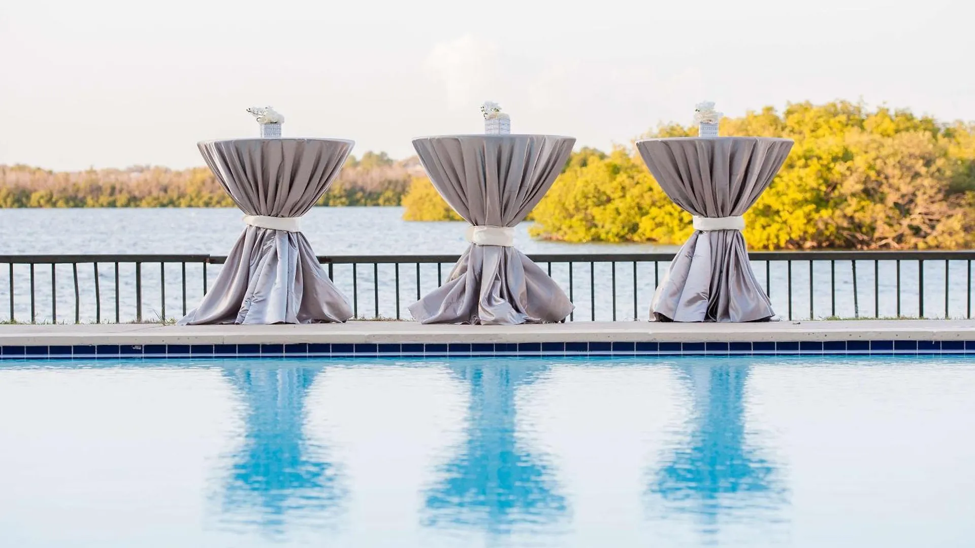 Best Hotels in Tampa Bay Harbor for Every Traveler