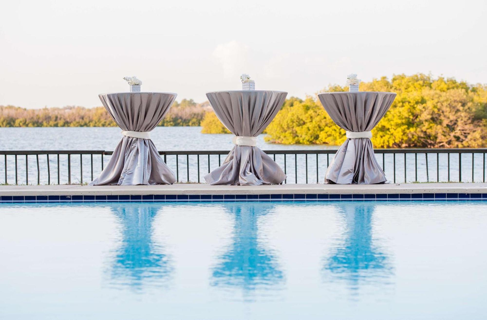 Best Hotels in Tampa Bay Harbor for Every Traveler